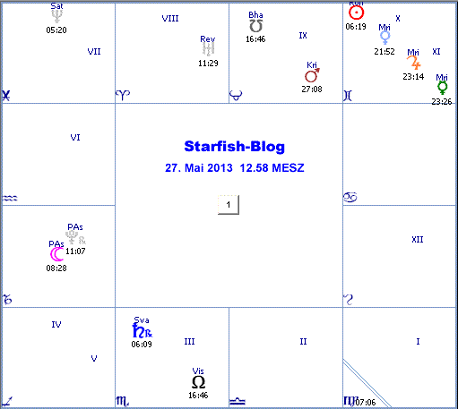 Rashi Starfish-Blog